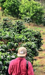 man walking on walkway beside plants
