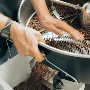 Close-up of hands handling roasted coffee beans in a modern coffee roaster.